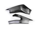Extreme Components - Extreme Components Carbon Swingarm protection Yamaha YZF R6 2008-20